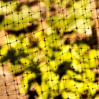 Drahtgitter, Netze & Gartenvlies