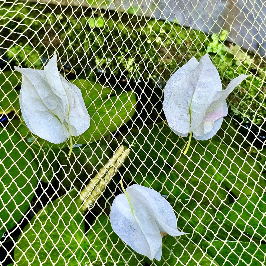Drahtgitter, Netze & Gartenvlies