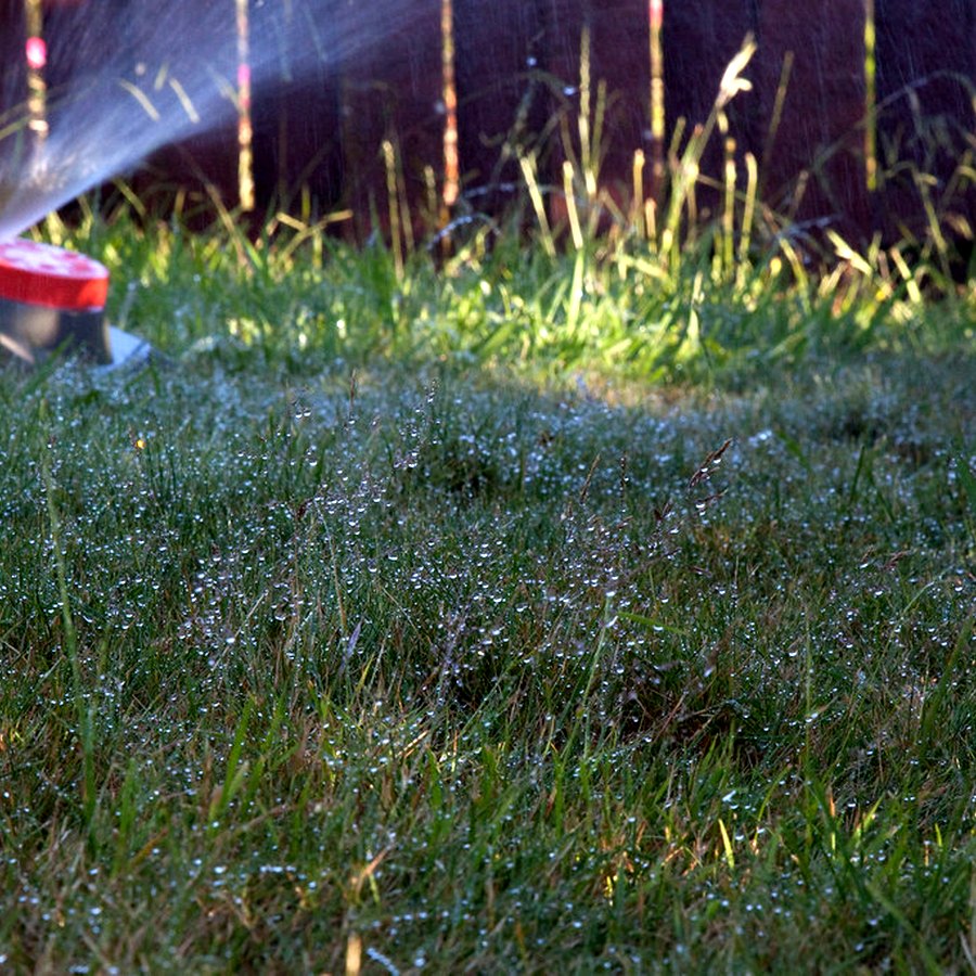 Rasensprenger für Gartenbewässerung